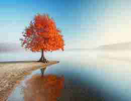 智‍能‍计‌划‌关‌键​词‍